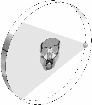 CT absorption signal detected when a slice of a head is X-rayed