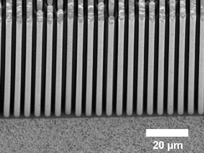 X-ray absorption grating